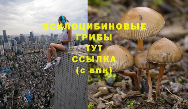 экстази Дмитров