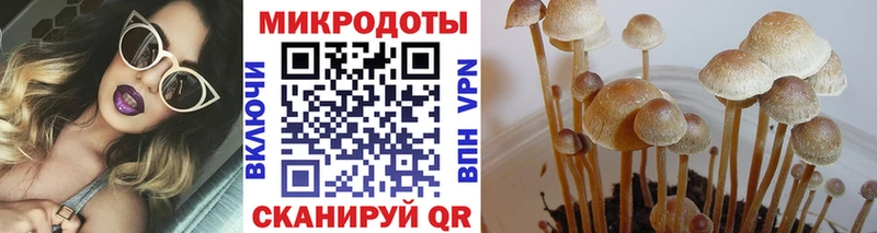 omg зеркало  Мурино  Псилоцибиновые грибы мухоморы  где найти наркотики 